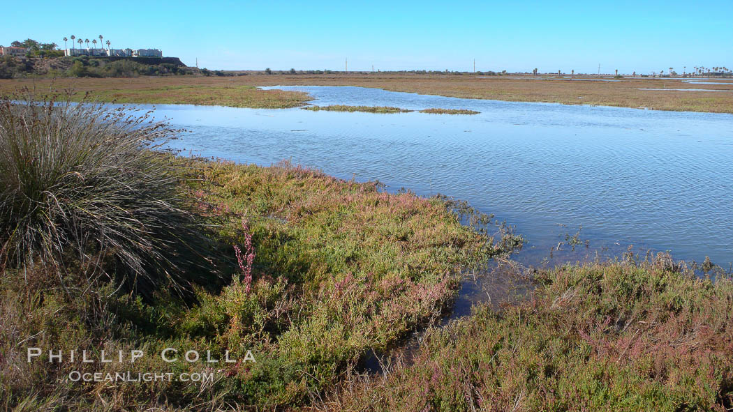 San Elijo lagoon at high tide, looking from the south shore north west. San Elijo Lagoon, Encinitas, California, USA, natural history stock photograph, photo id 19835