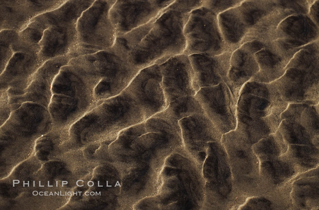 Sand ripples., natural history stock photograph, photo id 05647