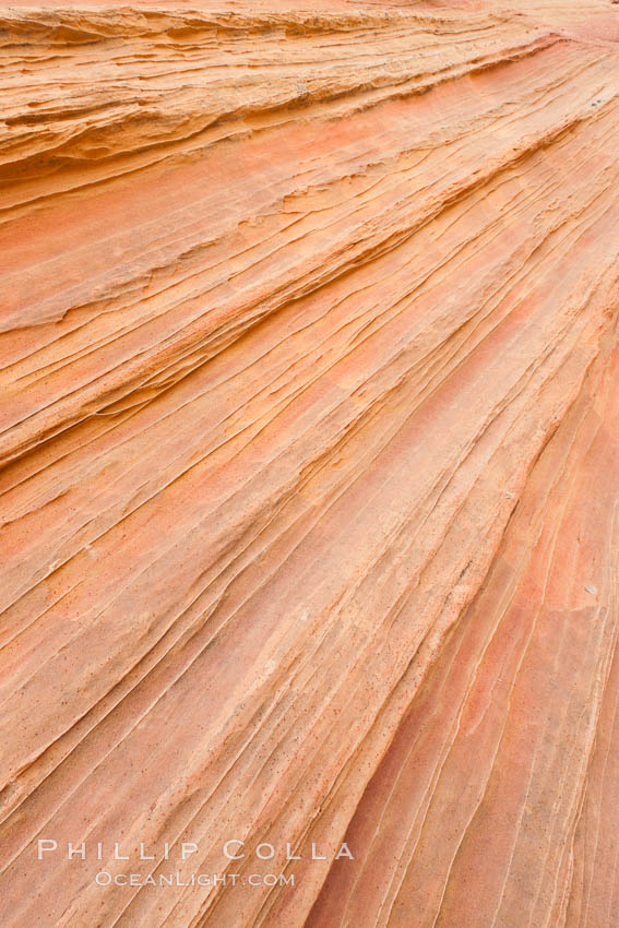 Sandstone details, South Coyote Buttes. Paria Canyon-Vermilion Cliffs Wilderness, Arizona, USA, natural history stock photograph, photo id 26664