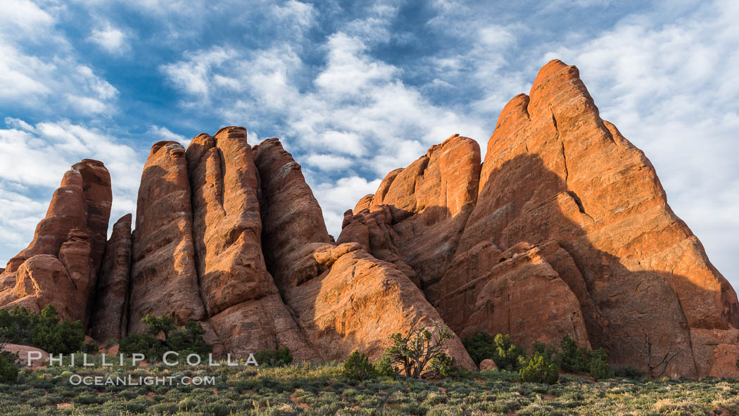 Sunrise light touches the Fins.  Sandstone fins stand on edge.  Vertical fractures separate standing plates of sandstone that are eroded into freestanding fins, that may one day further erode into arches. Arches National Park, Utah, USA, natural history stock photograph, photo id 29255