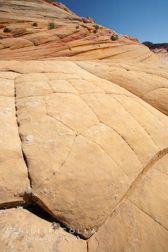 Sandstone joints.  These cracks and joints are formed in the sandstone by water that seeps into spaces and is then frozen at night, expanding and cracking the sandstone into geometric forms. North Coyote Buttes, Paria Canyon-Vermilion Cliffs Wilderness, Arizona, USA, natural history stock photograph, photo id 20762
