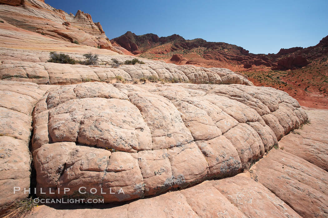 Sandstone joints.  These cracks and joints are formed in the sandstone by water that seeps into spaces and is then frozen at night, expanding and cracking the sandstone into geometric forms. North Coyote Buttes, Paria Canyon-Vermilion Cliffs Wilderness, Arizona, USA, natural history stock photograph, photo id 20748