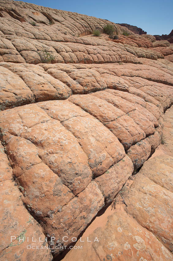 Sandstone joints.  These cracks and joints are formed in the sandstone by water that seeps into spaces and is then frozen at night, expanding and cracking the sandstone into geometric forms. North Coyote Buttes, Paria Canyon-Vermilion Cliffs Wilderness, Arizona, USA, natural history stock photograph, photo id 20760