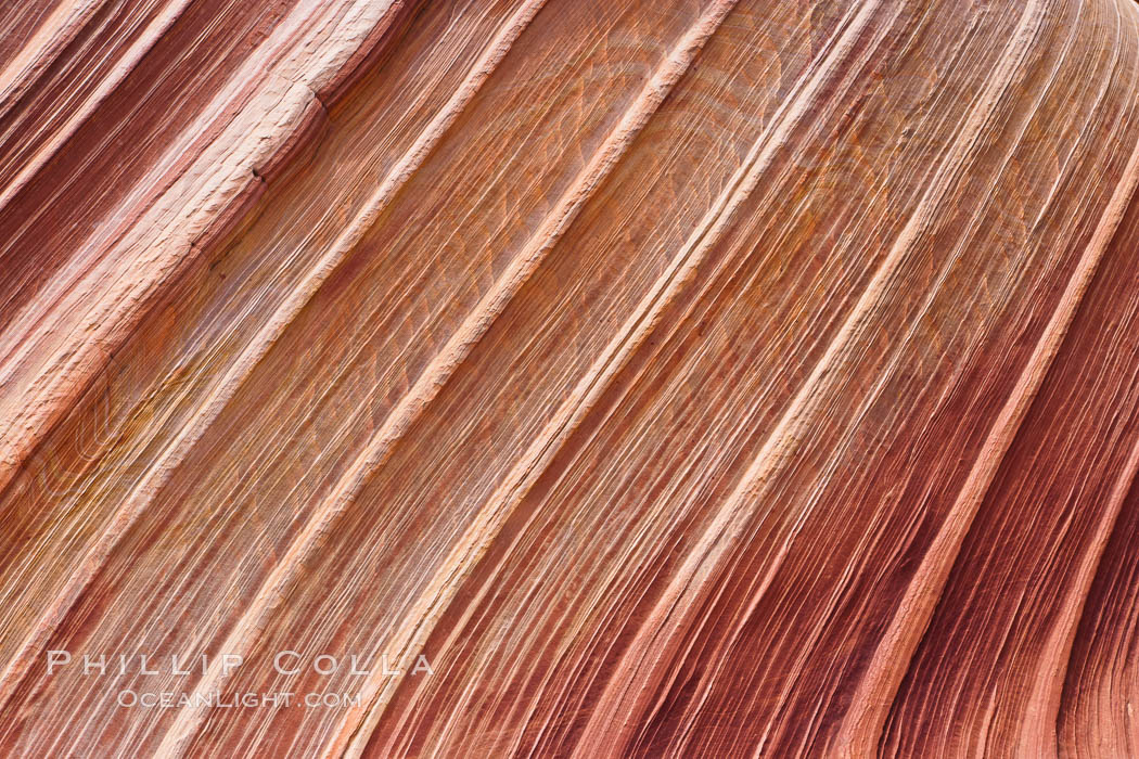 The Wave, an area of fantastic eroded sandstone featuring beautiful swirls, wild colors, countless striations, and bizarre shapes set amidst the dramatic surrounding North Coyote Buttes of Arizona and Utah.  The sandstone formations of the North Coyote Buttes, including the Wave, date from the Jurassic period. Managed by the Bureau of Land Management, the Wave is located in the Paria Canyon-Vermilion Cliffs Wilderness and is accessible on foot by permit only. USA, natural history stock photograph, photo id 20638