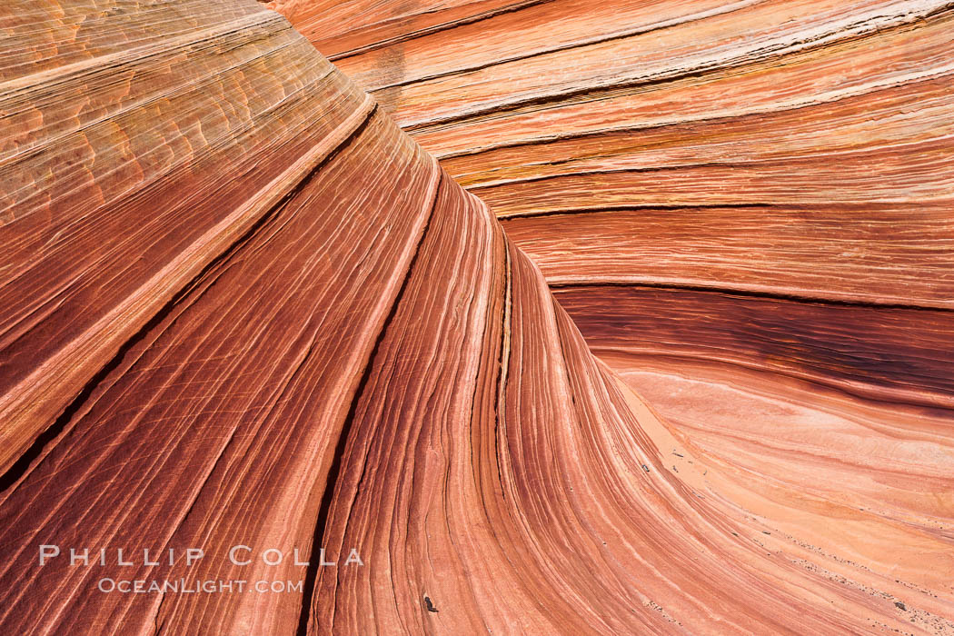 The Wave, an area of fantastic eroded sandstone featuring beautiful swirls, wild colors, countless striations, and bizarre shapes set amidst the dramatic surrounding North Coyote Buttes of Arizona and Utah.  The sandstone formations of the North Coyote Buttes, including the Wave, date from the Jurassic period. Managed by the Bureau of Land Management, the Wave is located in the Paria Canyon-Vermilion Cliffs Wilderness and is accessible on foot by permit only. USA, natural history stock photograph, photo id 20654
