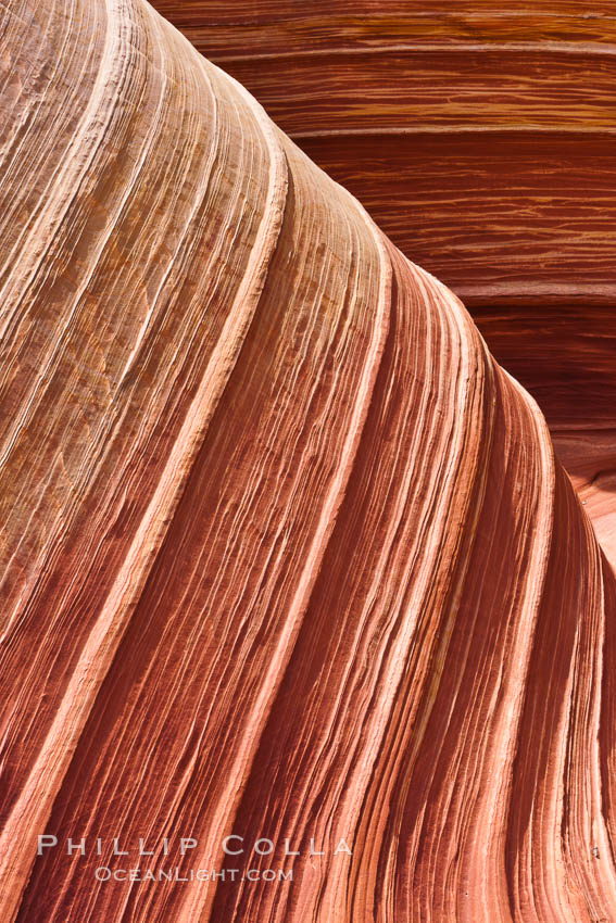 The Wave, an area of fantastic eroded sandstone featuring beautiful swirls, wild colors, countless striations, and bizarre shapes set amidst the dramatic surrounding North Coyote Buttes of Arizona and Utah.  The sandstone formations of the North Coyote Buttes, including the Wave, date from the Jurassic period. Managed by the Bureau of Land Management, the Wave is located in the Paria Canyon-Vermilion Cliffs Wilderness and is accessible on foot by permit only. USA, natural history stock photograph, photo id 20662