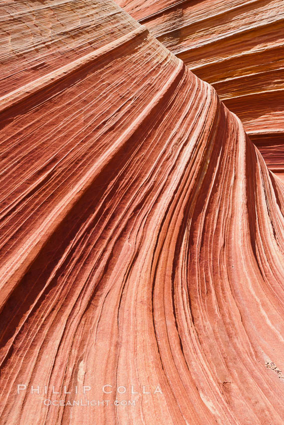 The Wave, an area of fantastic eroded sandstone featuring beautiful swirls, wild colors, countless striations, and bizarre shapes set amidst the dramatic surrounding North Coyote Buttes of Arizona and Utah.  The sandstone formations of the North Coyote Buttes, including the Wave, date from the Jurassic period. Managed by the Bureau of Land Management, the Wave is located in the Paria Canyon-Vermilion Cliffs Wilderness and is accessible on foot by permit only. USA, natural history stock photograph, photo id 20682