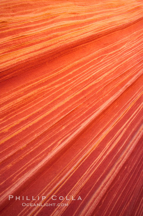 Sandstone striations.  Prehistoric sand dunes, compressed into sandstone, are now revealed in sandstone layers subject to the carving erosive forces of wind and water. North Coyote Buttes, Paria Canyon-Vermilion Cliffs Wilderness, Arizona, USA, natural history stock photograph, photo id 20734