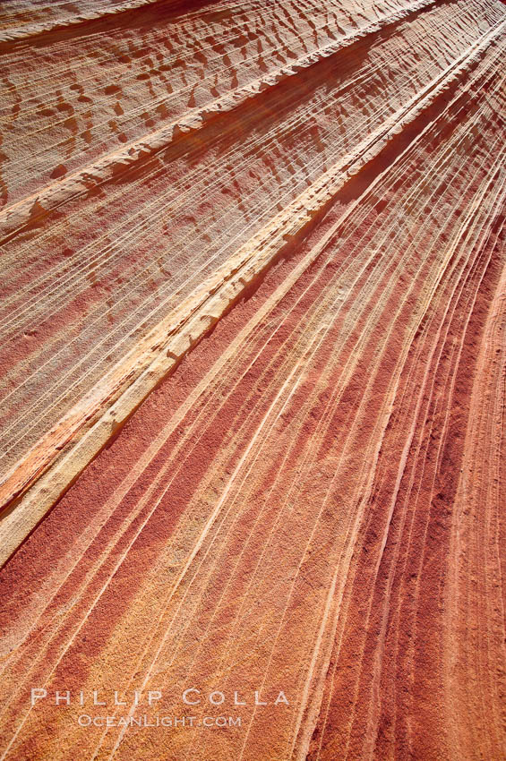 Sandstone striations.  Prehistoric sand dunes, compressed into sandstone, are now revealed in sandstone layers subject to the carving erosive forces of wind and water. North Coyote Buttes, Paria Canyon-Vermilion Cliffs Wilderness, Arizona, USA, natural history stock photograph, photo id 20738