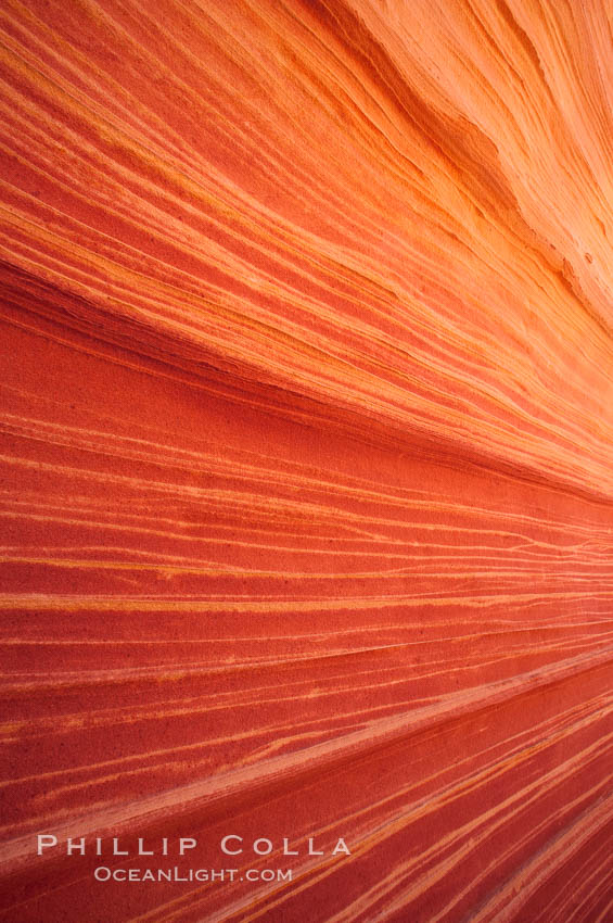 Sandstone striations.  Prehistoric sand dunes, compressed into sandstone, are now revealed in sandstone layers subject to the carving erosive forces of wind and water. North Coyote Buttes, Paria Canyon-Vermilion Cliffs Wilderness, Arizona, USA, natural history stock photograph, photo id 20742