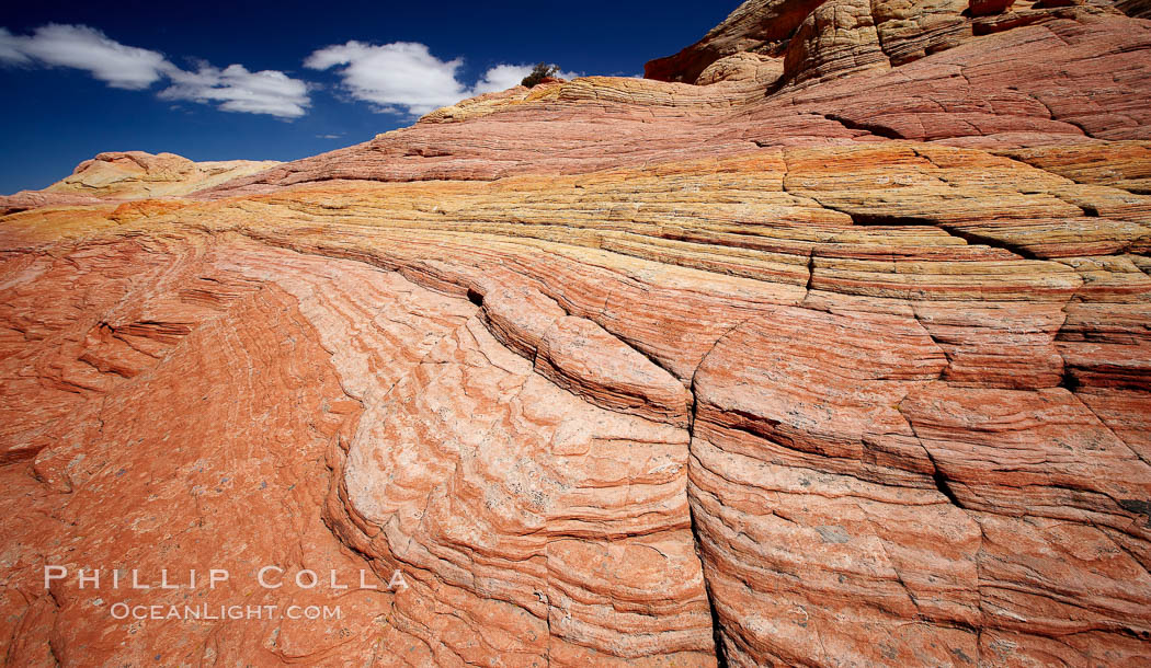 Striations in sandstone tell of eons of sedimentary deposits, a visible geologic record of the time when this region was under the sea. North Coyote Buttes, Paria Canyon-Vermilion Cliffs Wilderness, Arizona, USA, natural history stock photograph, photo id 20612
