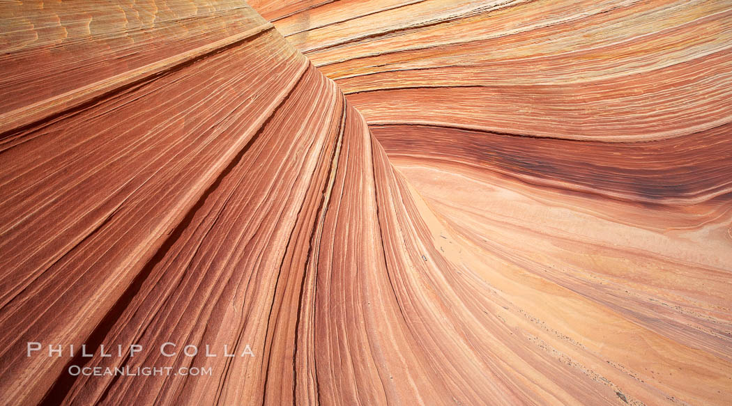 The Wave, an area of fantastic eroded sandstone featuring beautiful swirls, wild colors, countless striations, and bizarre shapes set amidst the dramatic surrounding North Coyote Buttes of Arizona and Utah.  The sandstone formations of the North Coyote Buttes, including the Wave, date from the Jurassic period. Managed by the Bureau of Land Management, the Wave is located in the Paria Canyon-Vermilion Cliffs Wilderness and is accessible on foot by permit only. USA, natural history stock photograph, photo id 20640
