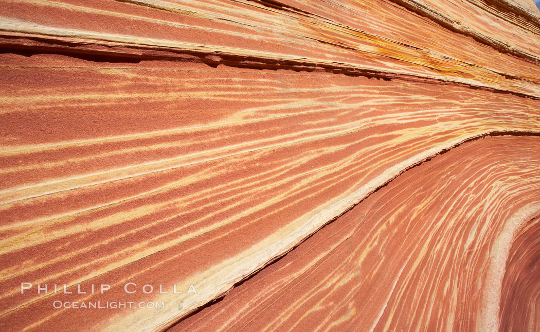 The Wave, an area of fantastic eroded sandstone featuring beautiful swirls, wild colors, countless striations, and bizarre shapes set amidst the dramatic surrounding North Coyote Buttes of Arizona and Utah.  The sandstone formations of the North Coyote Buttes, including the Wave, date from the Jurassic period. Managed by the Bureau of Land Management, the Wave is located in the Paria Canyon-Vermilion Cliffs Wilderness and is accessible on foot by permit only. USA, natural history stock photograph, photo id 20631