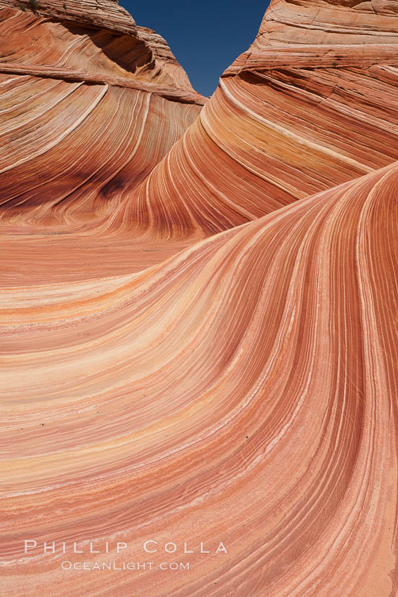 Sandstone striations.  Prehistoric sand dunes, compressed into sandstone, are now revealed in sandstone layers subject to the carving erosive forces of wind and water. North Coyote Buttes, Paria Canyon-Vermilion Cliffs Wilderness, Arizona, USA, natural history stock photograph, photo id 20739