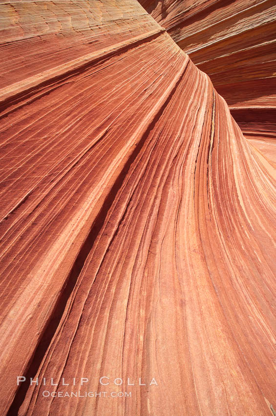 Sandstone striations.  Prehistoric sand dunes, compressed into sandstone, are now revealed in sandstone layers subject to the carving erosive forces of wind and water. North Coyote Buttes, Paria Canyon-Vermilion Cliffs Wilderness, Arizona, USA, natural history stock photograph, photo id 20743