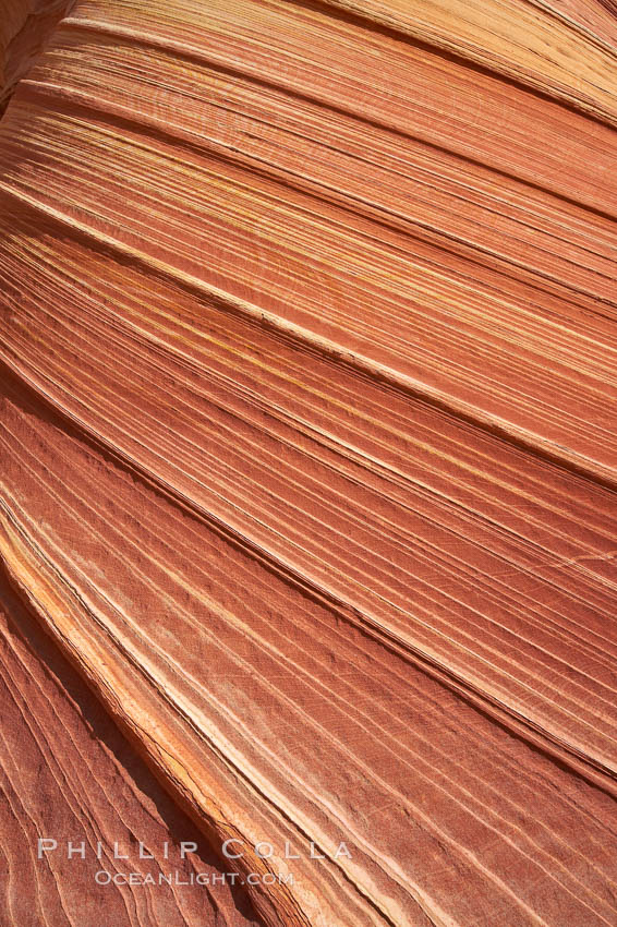 The Wave, an area of fantastic eroded sandstone featuring beautiful swirls, wild colors, countless striations, and bizarre shapes set amidst the dramatic surrounding North Coyote Buttes of Arizona and Utah.  The sandstone formations of the North Coyote Buttes, including the Wave, date from the Jurassic period. Managed by the Bureau of Land Management, the Wave is located in the Paria Canyon-Vermilion Cliffs Wilderness and is accessible on foot by permit only. USA, natural history stock photograph, photo id 20629