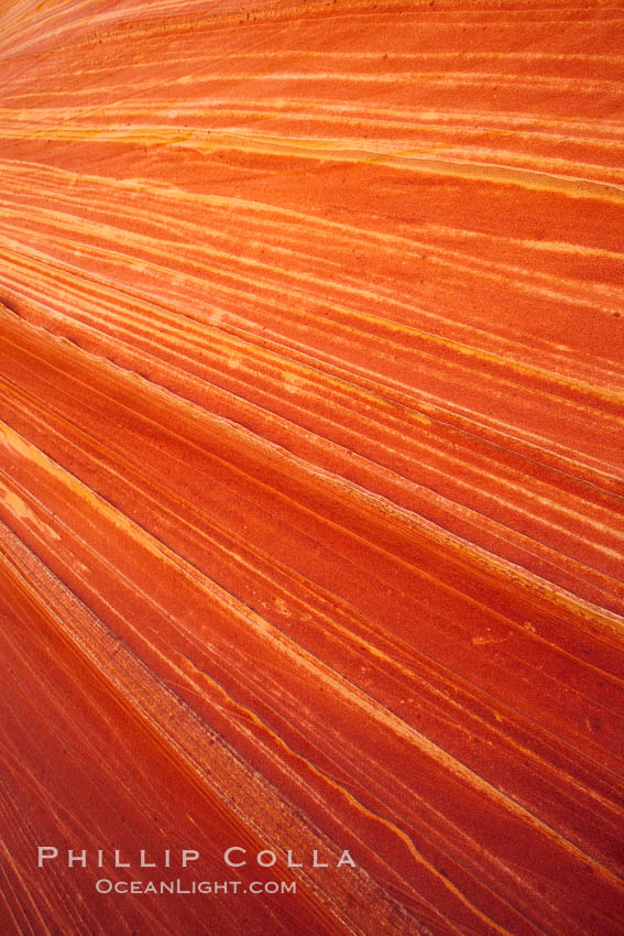 Sandstone striations.  Prehistoric sand dunes, compressed into sandstone, are now revealed in sandstone layers subject to the carving erosive forces of wind and water. North Coyote Buttes, Paria Canyon-Vermilion Cliffs Wilderness, Arizona, USA, natural history stock photograph, photo id 20741