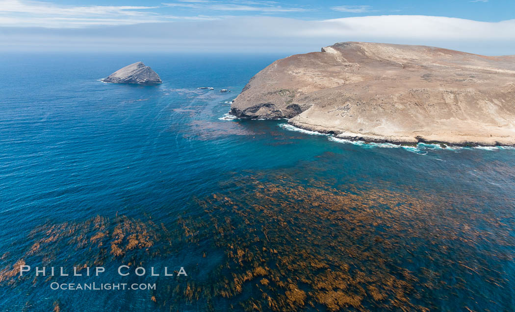Santa Barbara Island, Sutil Island, and thick kelp forests, aerial photograph. California, USA, natural history stock photograph, photo id 29359