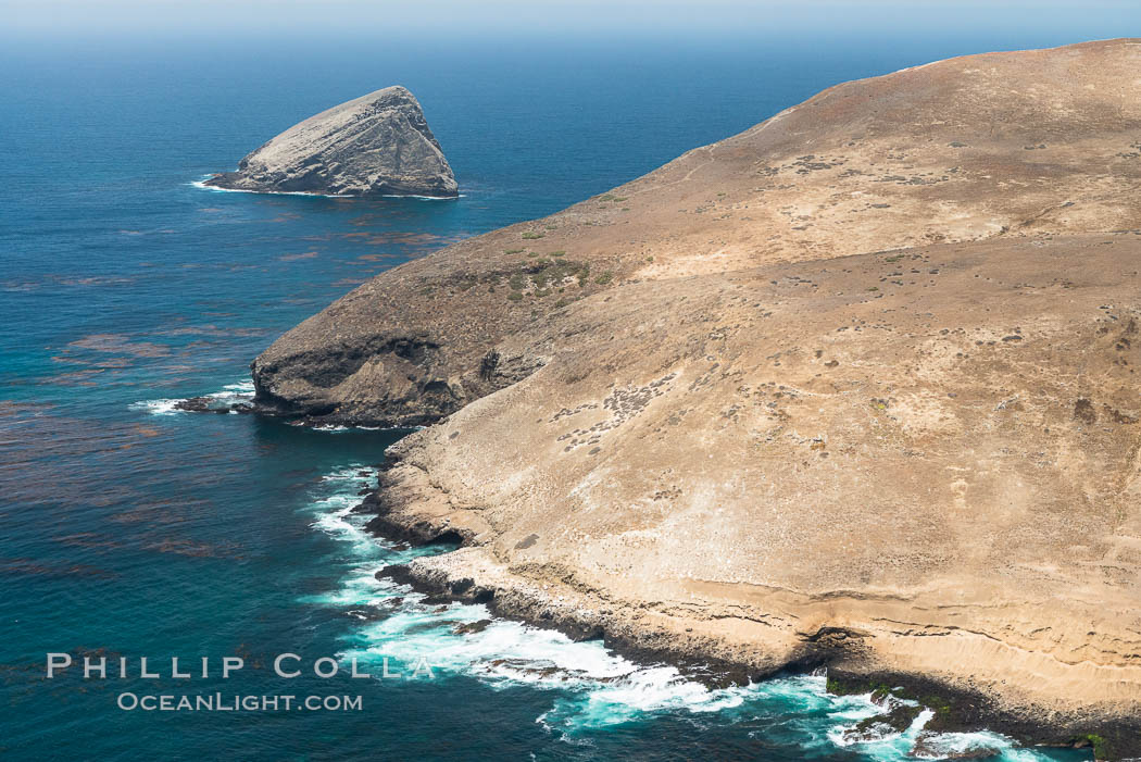 Santa Barbara Island, aerial photograph. California, USA, natural history stock photograph, photo id 29369