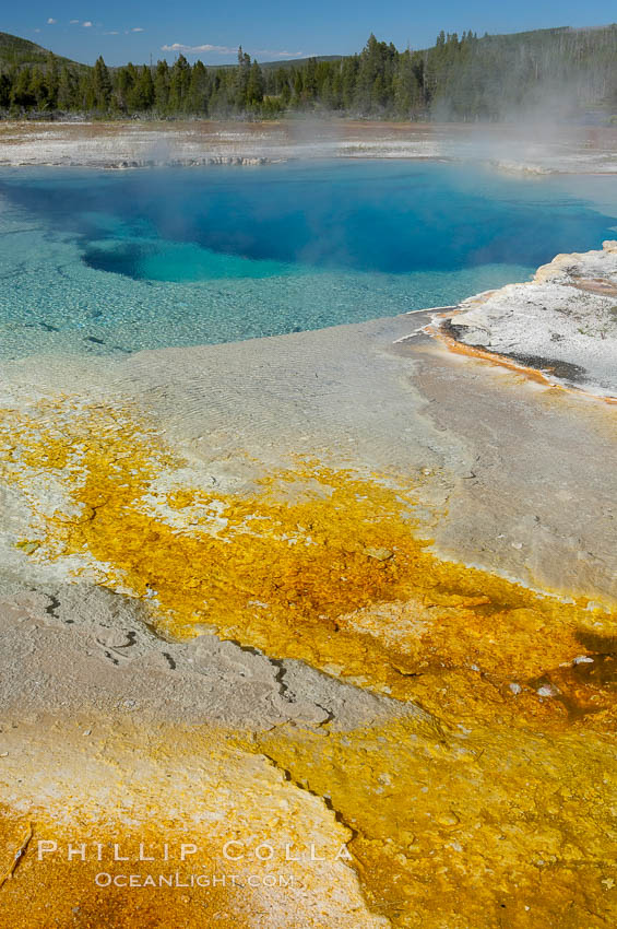 Sapphire Pool, Biscuit Basin.  Sapphire Pool is known as a hot spring but has erupted as a geyser in the past. Yellowstone National Park, Wyoming, USA, natural history stock photograph, photo id 13496