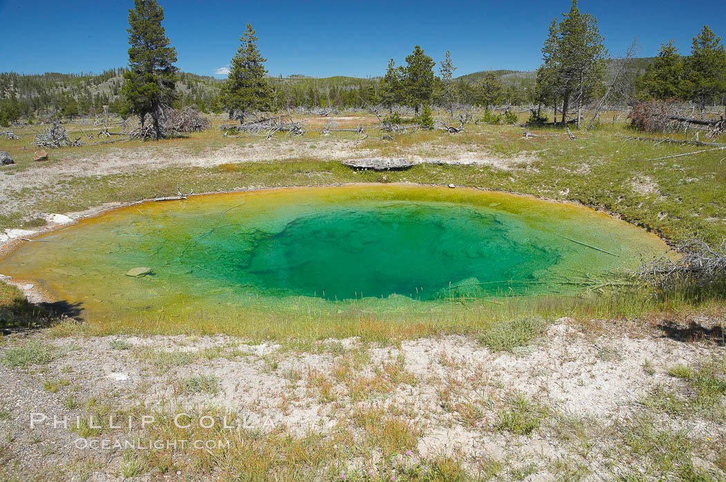 Sarah Hot Spring, east of parking lot at Fairy Falls trailhead.   Midway Geyser Basin. Yellowstone National Park, Wyoming, USA, natural history stock photograph, photo id 13603