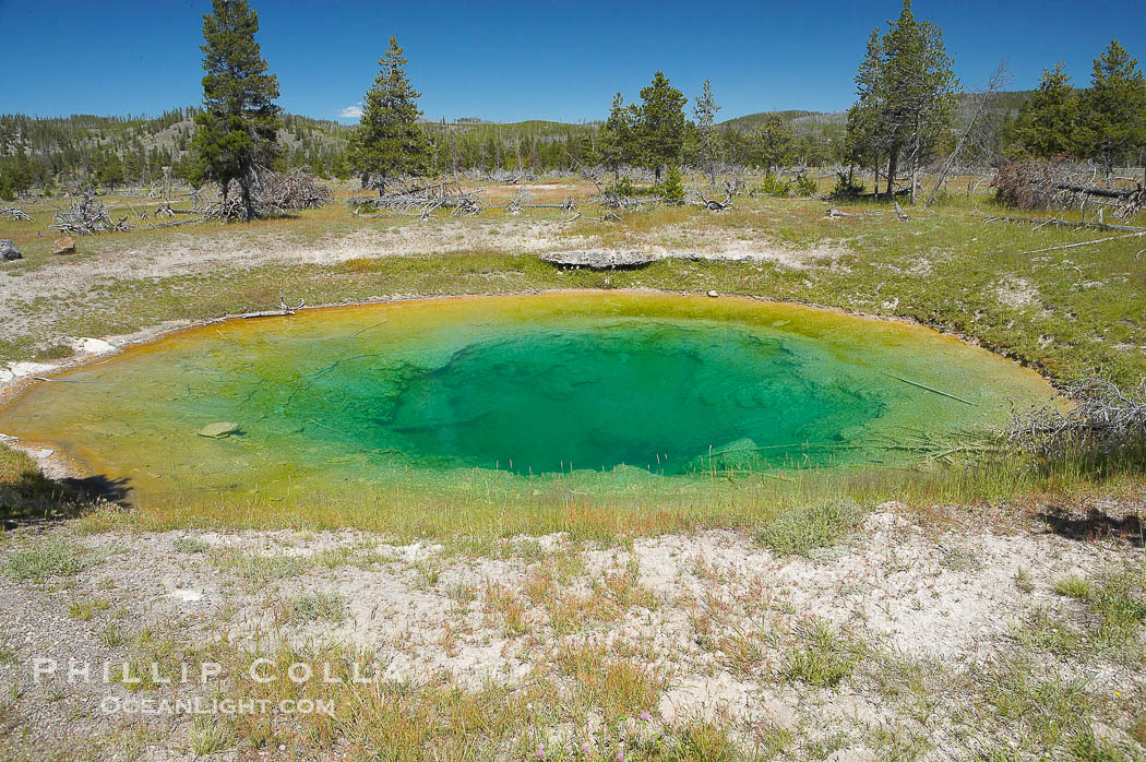 Sarah Hot Spring, east of parking lot at Fairy Falls trailhead.   Midway Geyser Basin., natural history stock photograph, photo id 13603