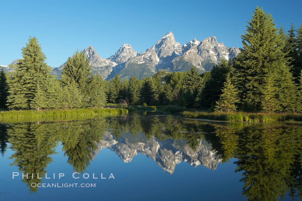 The Teton Range is reflected in the glassy waters of the Snake River at Schwabacher Landing. Grand Teton National Park, Wyoming, USA, natural history stock photograph, photo id 12986