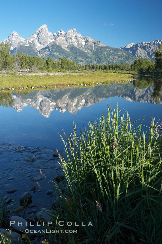 The Teton Range is reflected in the glassy waters of the Snake River at Schwabacher Landing. Grand Teton National Park, Wyoming, USA, natural history stock photograph, photo id 12990