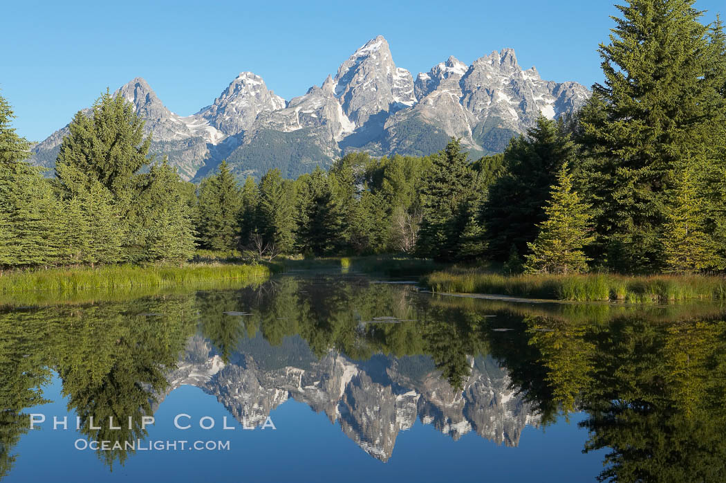 The Teton Range is reflected in the glassy waters of the Snake River at Schwabacher Landing. Grand Teton National Park, Wyoming, USA, natural history stock photograph, photo id 12984