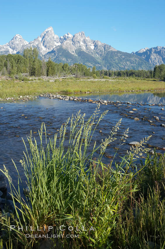 The Teton Range is reflected in the glassy waters of the Snake River at Schwabacher Landing. Grand Teton National Park, Wyoming, USA, natural history stock photograph, photo id 12992