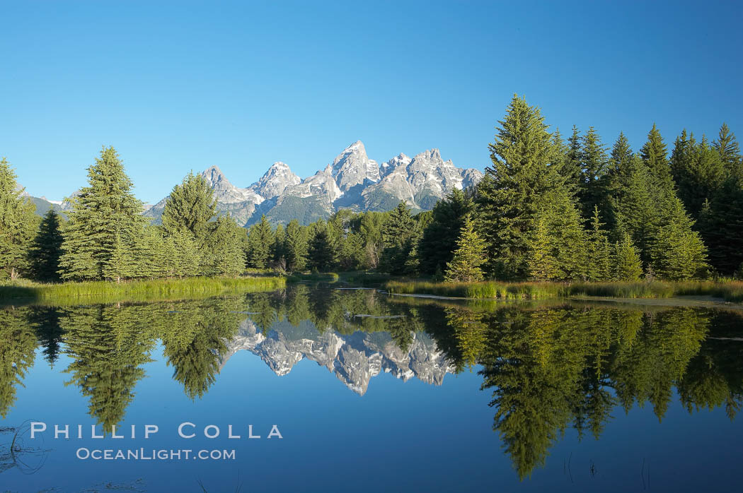 The Teton Range is reflected in the glassy waters of the Snake River at Schwabacher Landing. Grand Teton National Park, Wyoming, USA, natural history stock photograph, photo id 12987