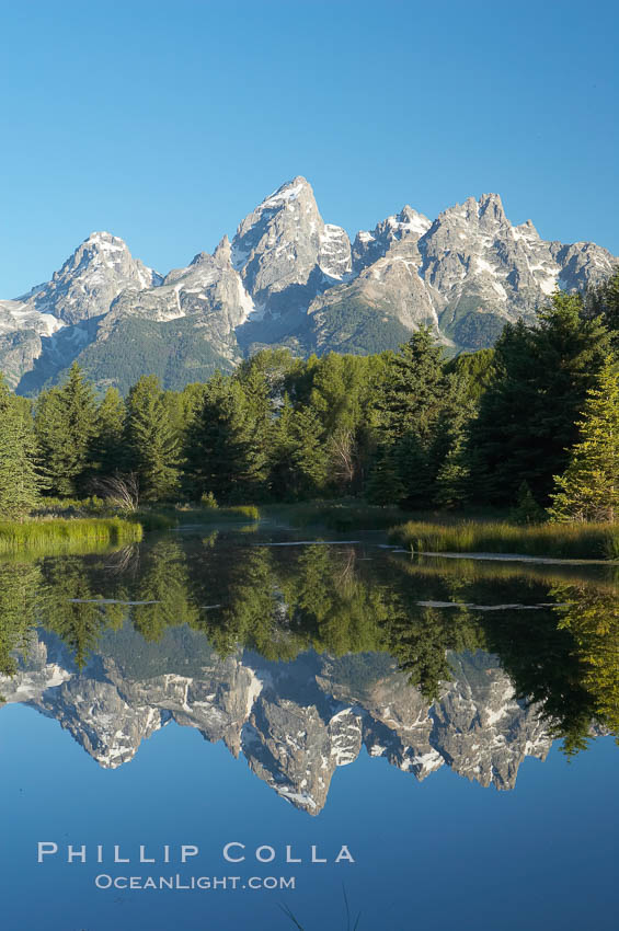 The Teton Range is reflected in the glassy waters of the Snake River at Schwabacher Landing. Grand Teton National Park, Wyoming, USA, natural history stock photograph, photo id 12985