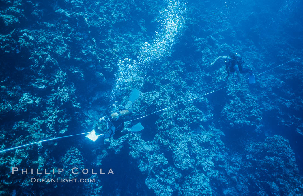 Scientist Surveying Coral Reef at Rose Atoll, following shipwreck of Jin Shiang Fa, American Samoa. Rose Atoll National Wildlife Refuge, USA, natural history stock photograph, photo id 00847