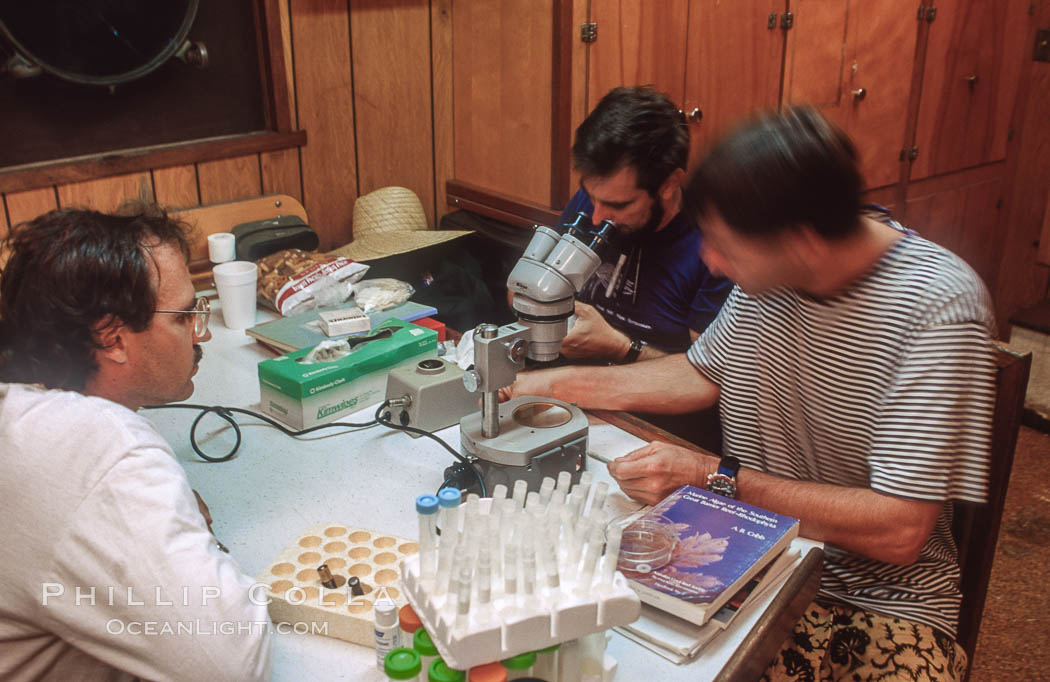 Scientists Recording Data aboard Ship at Rose Atoll. Rose Atoll National Wildlife Refuge, American Samoa, USA, natural history stock photograph, photo id 00841