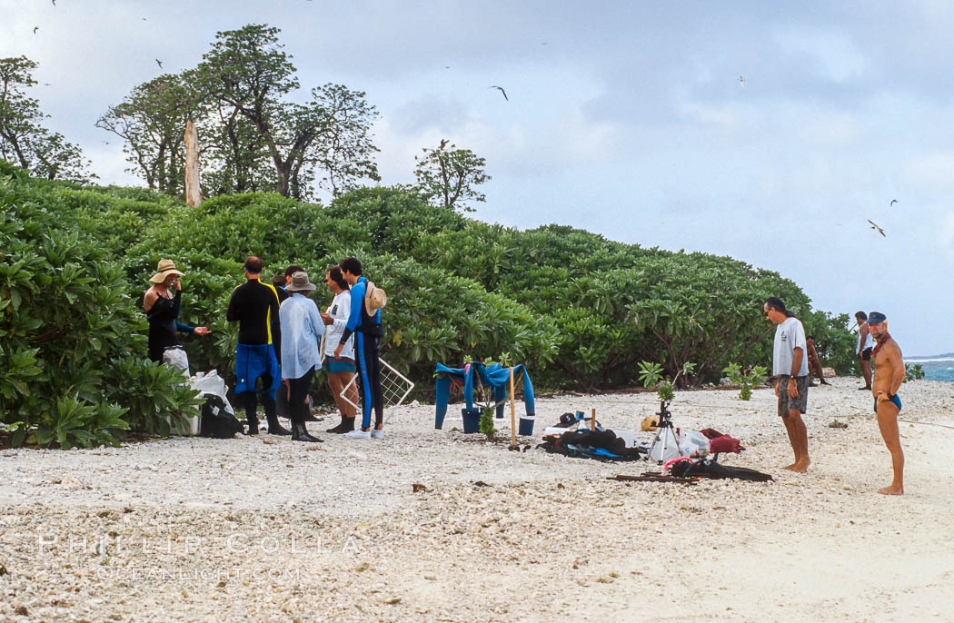 Scientists Setting up Camp on Rose Atoll, prior to starting survey operations. Rose Atoll National Wildlife Refuge, American Samoa, USA, natural history stock photograph, photo id 00836