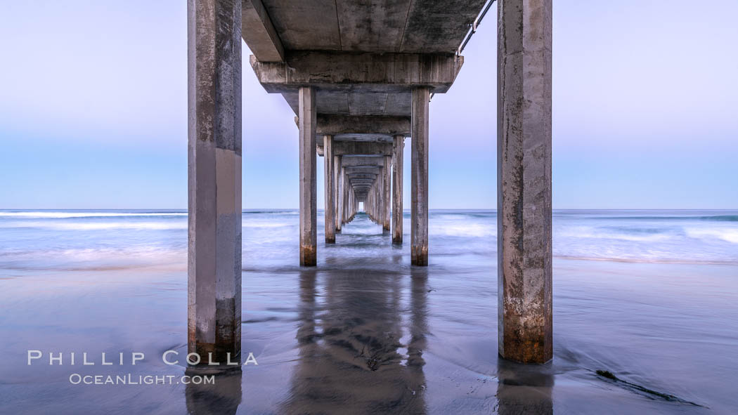 Scripps Institution of Oceanography Pier and Belt of Venus in pre-dawn light. The Earth's shadow appears as the blue just above the horizon. La Jolla, California, USA, natural history stock photograph, photo id 37696