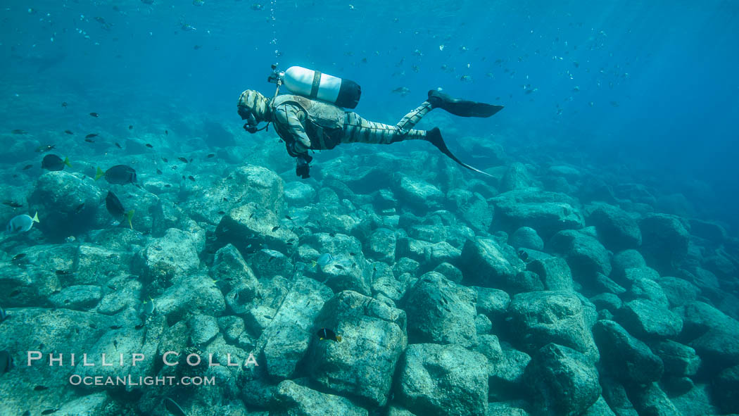 SCUBA Diver, Los Islotes, Sea of Cortez. Baja California, Mexico, natural history stock photograph, photo id 32493