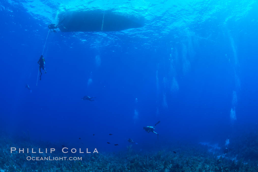 SCUBA divers underwater, Grand Cayman East End. Cayman Islands, natural history stock photograph, photo id 32042