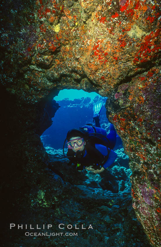 SCUBA diving in Hawaii. USA, natural history stock photograph, photo id 36260
