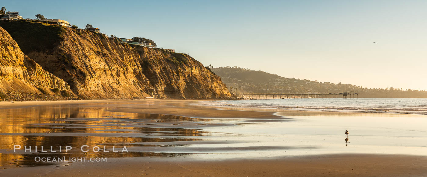 Sea cliffs over Blacks Beach, La Jolla, California. USA, natural history stock photograph, photo id 36563