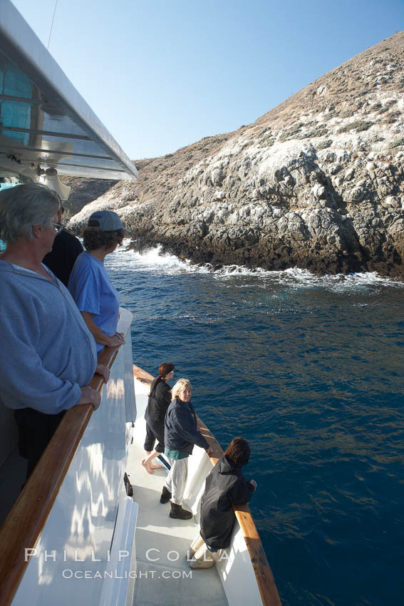 Visitors watch sea lions along the coast of Santa Barbara Island, part of the Channel Islands National Marine Sanctuary.  Santa Barbara Island lies 38 miles offshore of the coast of California, near Los Angeles. USA, natural history stock photograph, photo id 23564