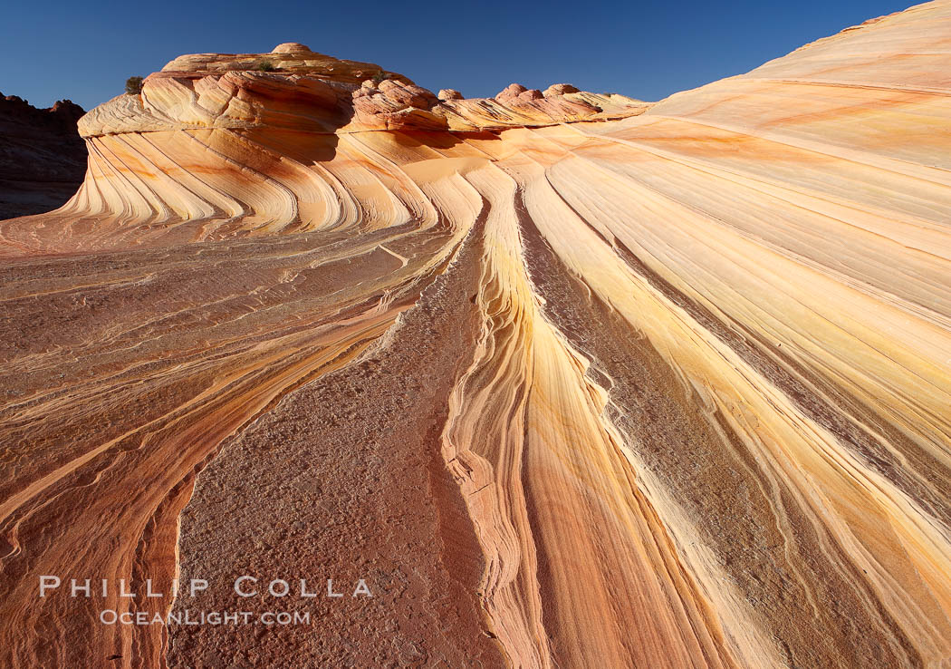 The Second Wave at sunset.  The Second Wave, a curiously-shaped sandstone swirl, takes on rich warm tones and dramatic shadowed textures at sunset.  Set in the North Coyote Buttes of Arizona and Utah, the Second Wave is characterized by striations revealing layers of sedimentary deposits, a visible historical record depicting eons of submarine geology. Paria Canyon-Vermilion Cliffs Wilderness, USA, natural history stock photograph, photo id 20647