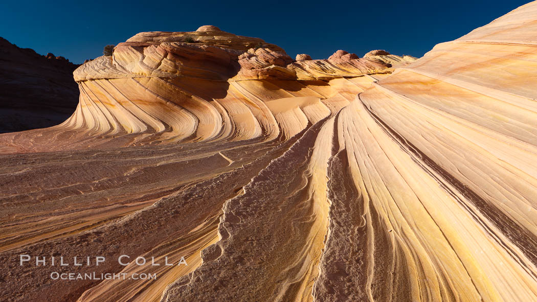 The Second Wave at sunset.  The Second Wave, a curiously-shaped sandstone swirl, takes on rich warm tones and dramatic shadowed textures at sunset.  Set in the North Coyote Buttes of Arizona and Utah, the Second Wave is characterized by striations revealing layers of sedimentary deposits, a visible historical record depicting eons of submarine geology. Paria Canyon-Vermilion Cliffs Wilderness, USA, natural history stock photograph, photo id 20671