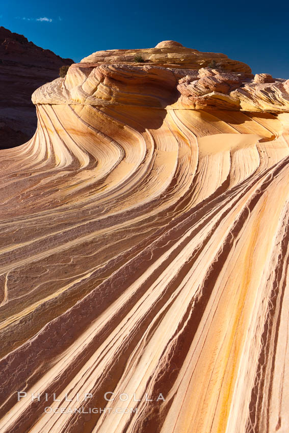 The Second Wave at sunset.  The Second Wave, a curiously-shaped sandstone swirl, takes on rich warm tones and dramatic shadowed textures at sunset.  Set in the North Coyote Buttes of Arizona and Utah, the Second Wave is characterized by striations revealing layers of sedimentary deposits, a visible historical record depicting eons of submarine geology. Paria Canyon-Vermilion Cliffs Wilderness, USA, natural history stock photograph, photo id 20613