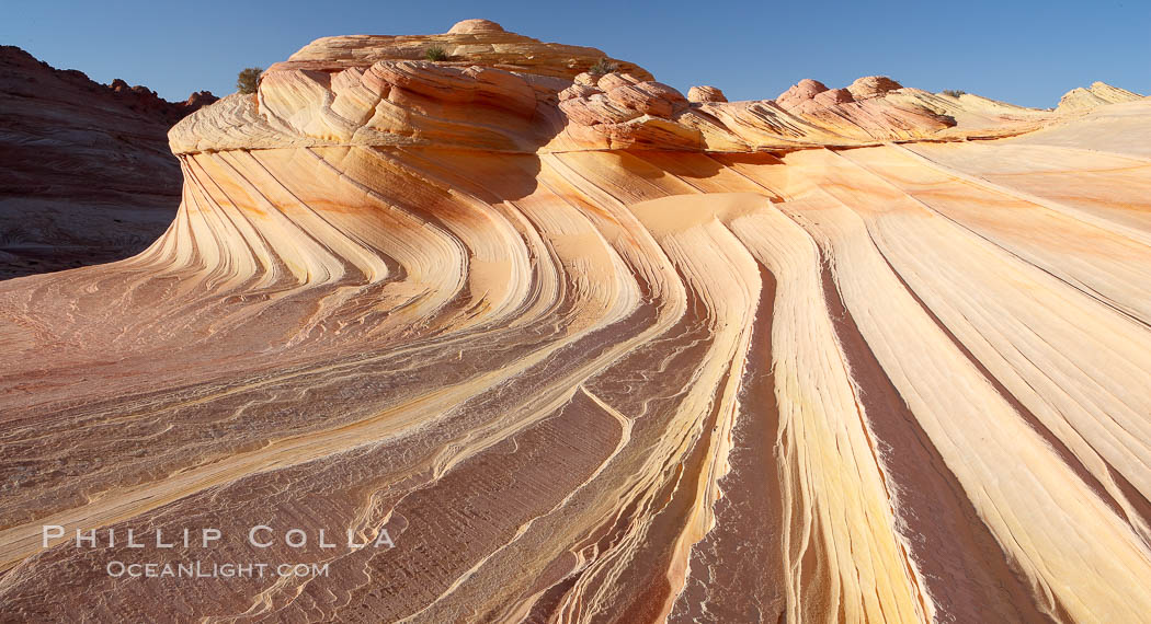 The Second Wave at sunset.  The Second Wave, a curiously-shaped sandstone swirl, takes on rich warm tones and dramatic shadowed textures at sunset.  Set in the North Coyote Buttes of Arizona and Utah, the Second Wave is characterized by striations revealing layers of sedimentary deposits, a visible historical record depicting eons of submarine geology. Paria Canyon-Vermilion Cliffs Wilderness, USA, natural history stock photograph, photo id 20653