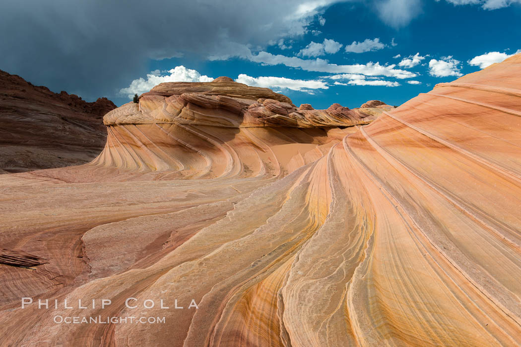 The Second Wave at sunset. The Second Wave, a curiously-shaped sandstone swirl, takes on rich warm tones and dramatic shadowed textures at sunset. Set in the North Coyote Buttes of Arizona and Utah, the Second Wave is characterized by striations revealing layers of sedimentary deposits, a visible historical record depicting eons of submarine geology. Paria Canyon-Vermilion Cliffs Wilderness, USA, natural history stock photograph, photo id 28618