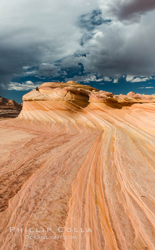 The Second Wave at sunset. The Second Wave, a curiously-shaped sandstone swirl, takes on rich warm tones and dramatic shadowed textures at sunset. Set in the North Coyote Buttes of Arizona and Utah, the Second Wave is characterized by striations revealing layers of sedimentary deposits, a visible historical record depicting eons of submarine geology. Paria Canyon-Vermilion Cliffs Wilderness, USA, natural history stock photograph, photo id 28616