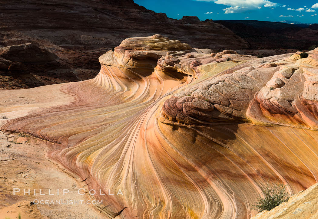 The Second Wave at sunset. The Second Wave, a curiously-shaped sandstone swirl, takes on rich warm tones and dramatic shadowed textures at sunset. Set in the North Coyote Buttes of Arizona and Utah, the Second Wave is characterized by striations revealing layers of sedimentary deposits, a visible historical record depicting eons of submarine geology. Paria Canyon-Vermilion Cliffs Wilderness, USA, natural history stock photograph, photo id 28615