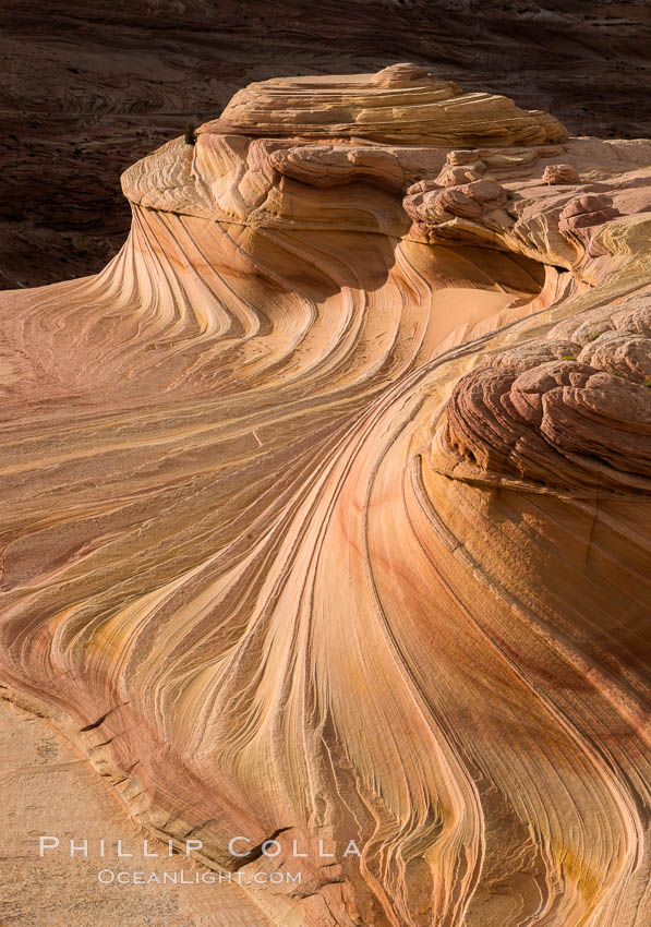 The Second Wave at Sunset, Vermillion Cliffs. The Second Wave, a curiously-shaped sandstone swirl, takes on rich warm tones and dramatic shadowed textures at sunset. Set in the North Coyote Buttes of Arizona and Utah, the Second Wave is characterized by striations revealing layers of sedimentary deposits, a visible historical record depicting eons of submarine geology. Paria Canyon-Vermilion Cliffs Wilderness, USA, natural history stock photograph, photo id 28613