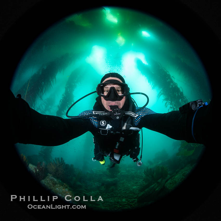 Self portrait, Kelp Forest, Catalina Island. California, USA, natural history stock photograph, photo id 38478